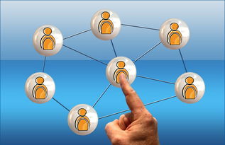 俱乐部世界杯-高校体育课程多样化选择机制研究,高校体育课程多样化选择机制研究现状