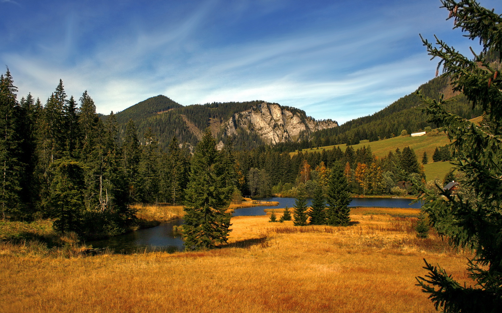 俱乐部世界杯-高校体育课程多样化选择机制研究,高校体育课程多样化选择机制研究现状