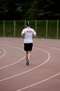 世俱杯直播在线观看免费-高校运动训练效果科学评估研究，运动训练高校排名