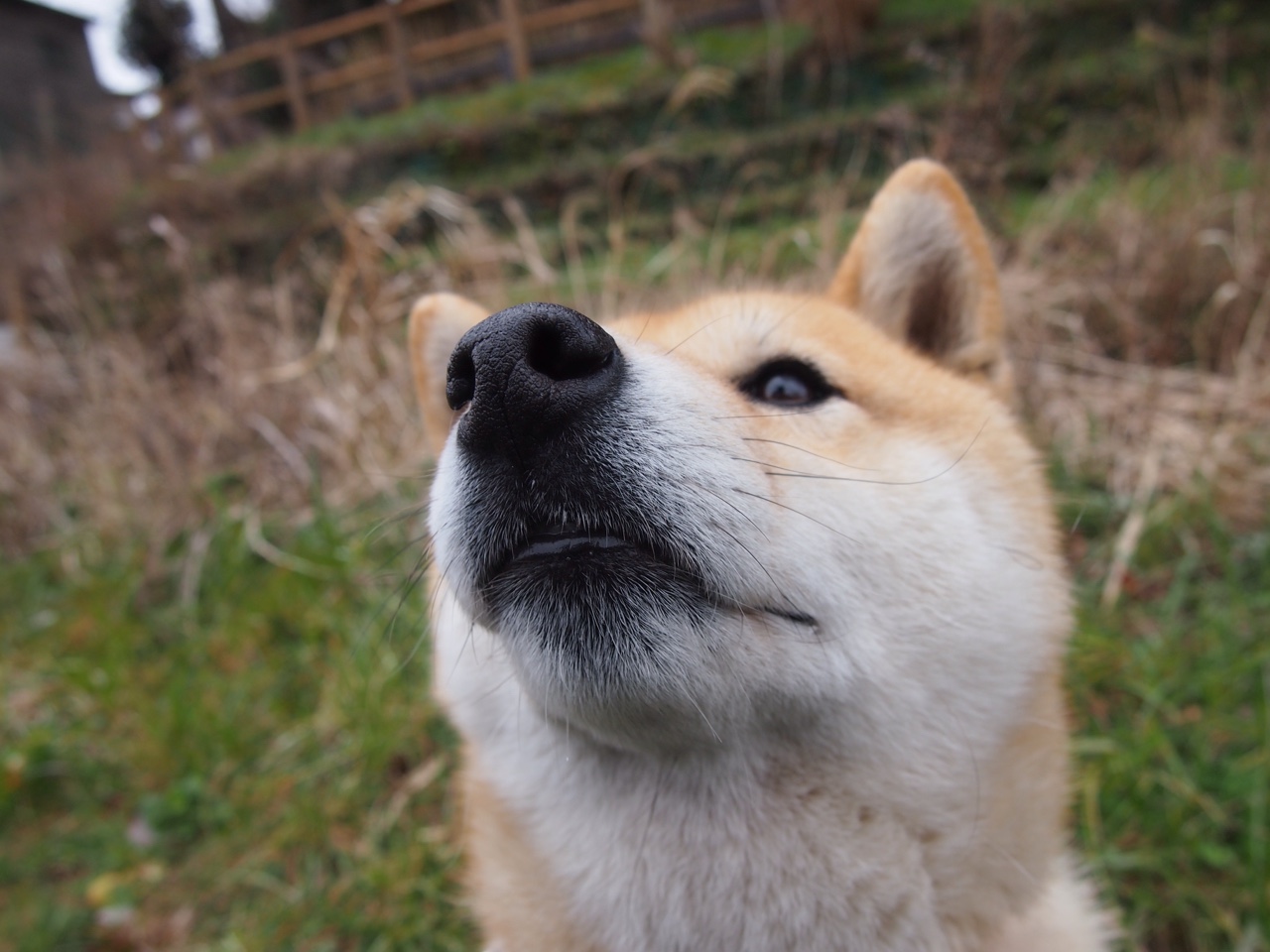 FIFA Club World Cup 2025-“2025世界游泳锦标赛：游泳项目的竞技与娱乐双重魅力”