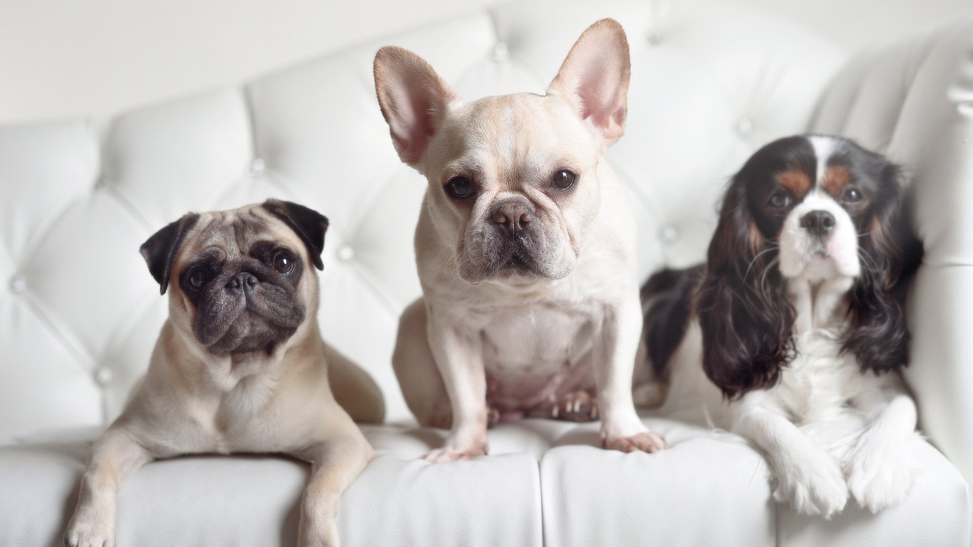 世俱杯比赛视频在线观看-中立B选手该项目滑行段利用率提高